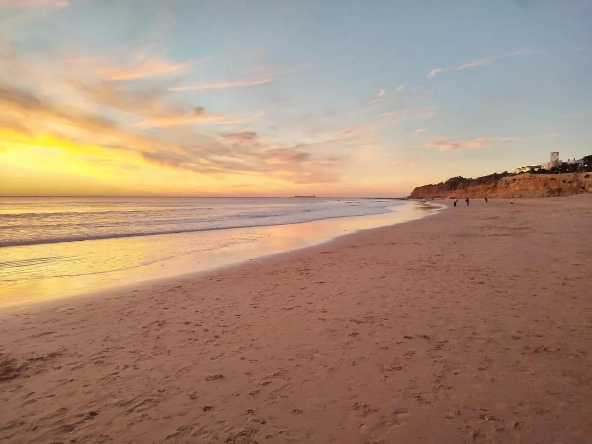 Cozy Duplex 2 Bedrooms Apart - 200M To La Barrosa Beach ノボ・サンクティ・ペトリ 0*,
